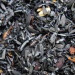 籾殻くん炭の使い方と作り方｜害虫の忌避にも効果あり！