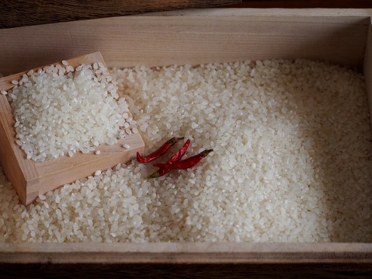 お米につく小さな蛾 ノシメマダラメイガ の対策と駆除方法まとめ