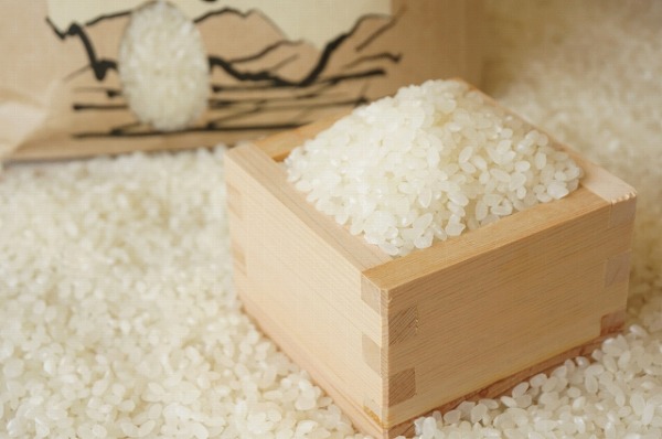 米びつに湧く コクゾウムシ とはどんな虫 対策と駆除方法まとめ