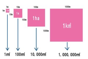 1ヘクタール・1反・1坪はどれくらいの広さ？簡単な面積の覚え方を解説