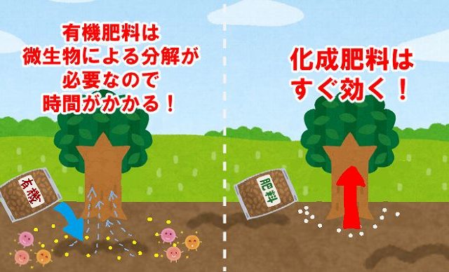 と 化成 は 肥料 はじめての土づくり③：肥料の量を計算しよう