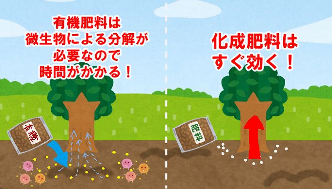 有機肥料と化成肥料の違い