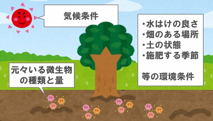 有機肥料と化成肥料の違い 安定感