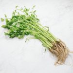 【山菜・春の七草】せり(芹)｜旬の時期・栄養＆効能・栽培方法とは？