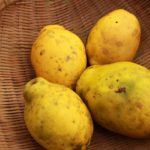カリン(花梨)の食べ方と育て方｜実＆種の効能と毒性・のどに効くはちみつ漬けなどの使い道