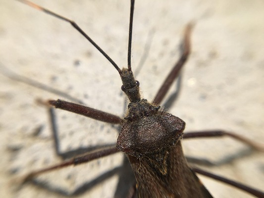 医師の診察を受ける時期