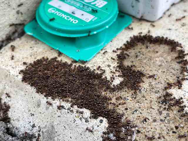 ファントスミア(幻の匂い)